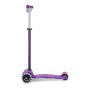 Maxi Micro Deluxe PRO violets